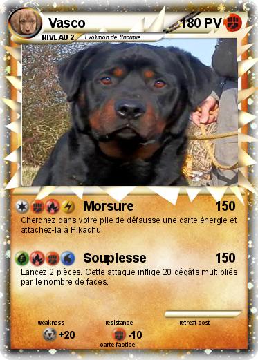 Pokemon Vasco