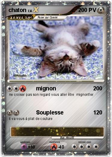 Pokemon chaton