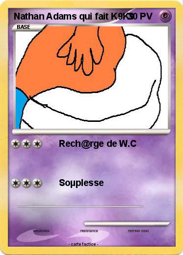 Pokemon Nathan Adams qui fait K9K9