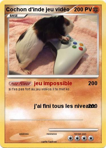 Pokemon Cochon d'inde jeu vidéo
