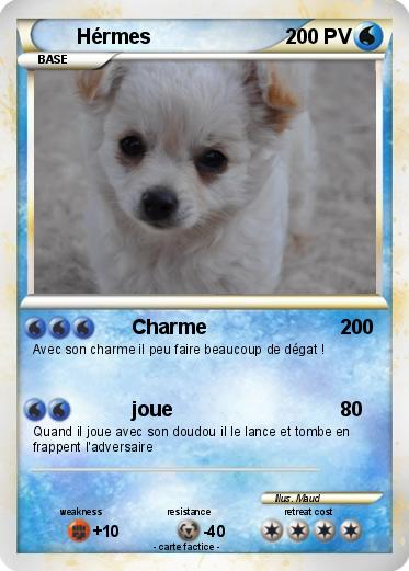 Pokemon Hérmes