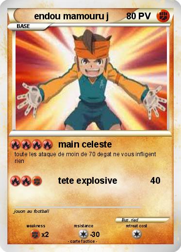 Pokemon endou mamouru j