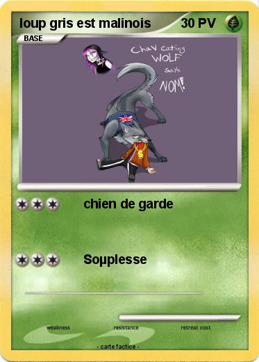 Pokemon loup gris est malinois