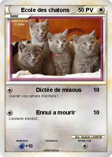 Pokemon Ecole des chatons