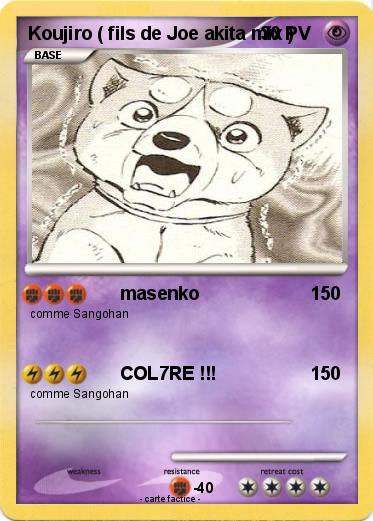 Pokemon Koujiro ( fils de Joe akita mix )