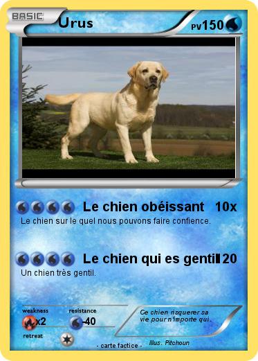 Pokemon Urus