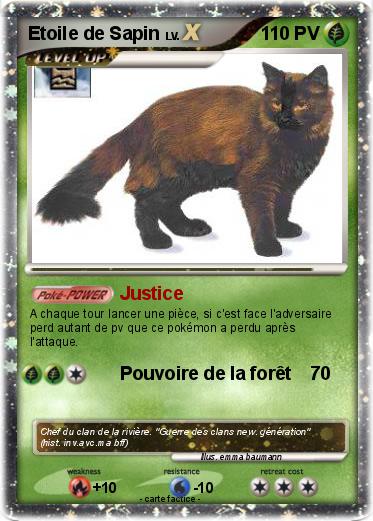 Pokemon Etoile de Sapin