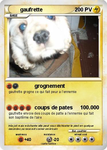 Pokemon gaufrette