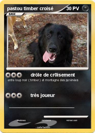 Pokemon pastou timber croisé