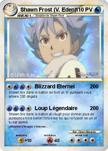 Pokemon Shawn Frost (V. Eden)