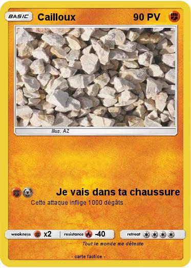 Pokemon Cailloux
