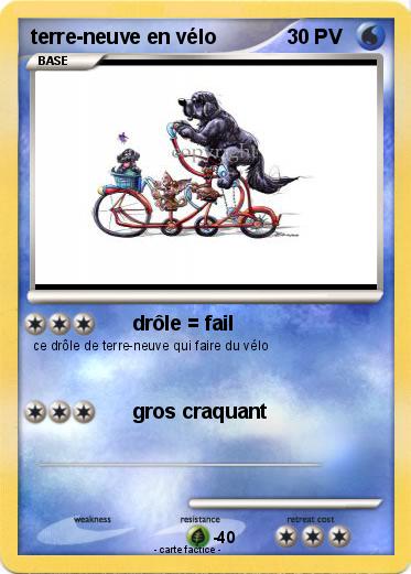 Pokemon terre-neuve en vélo