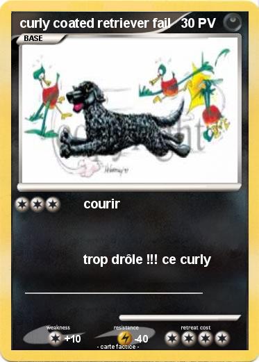 Pokemon curly coated retriever fail