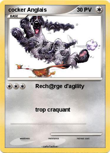 Pokemon cocker Anglais