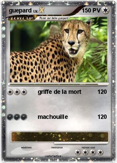 Pokemon guepard