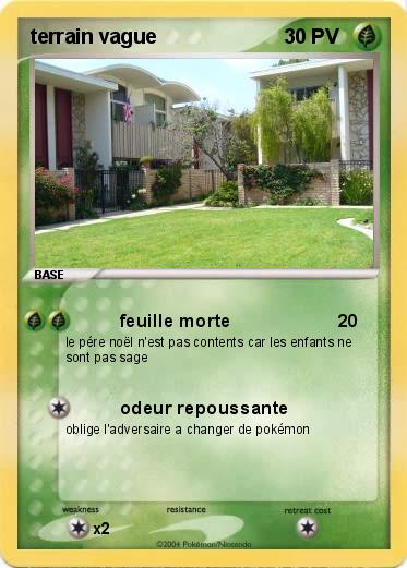 Pokemon terrain vague
