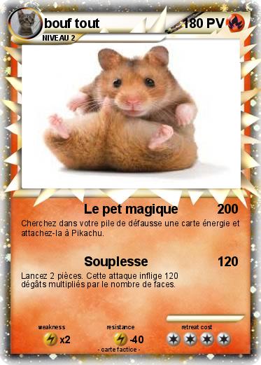 Pokemon bouf tout