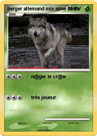 Pokemon berger allemand mix aime l'eau