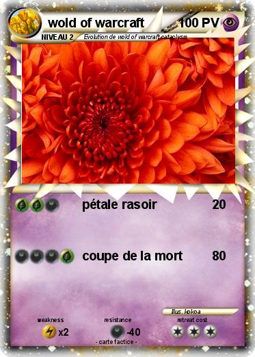 Pokemon wold of warcraft