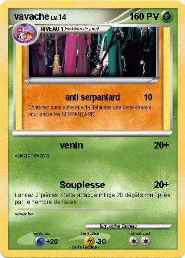 Pokemon vavache