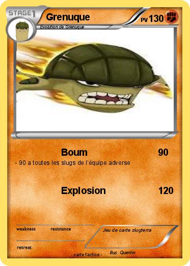 Pokemon Grenuque