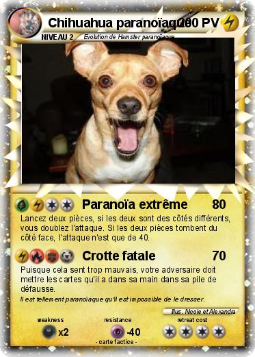 Pokemon Chihuahua paranoïaque