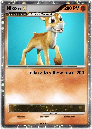Pokemon Niko