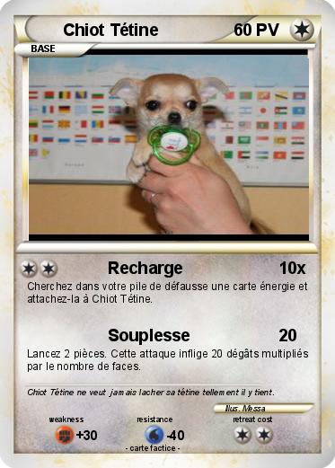 Pokemon Chiot Tétine