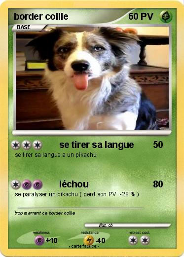 Pokemon border collie