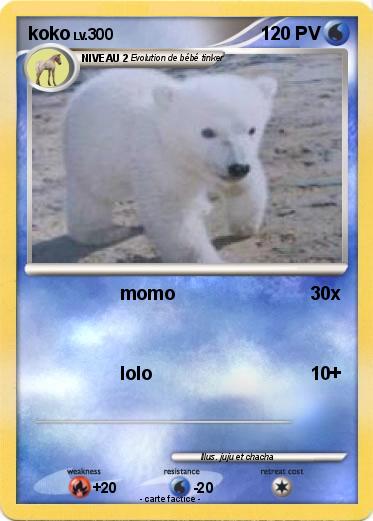 Pokemon koko