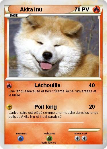 Pokemon Akita Inu
