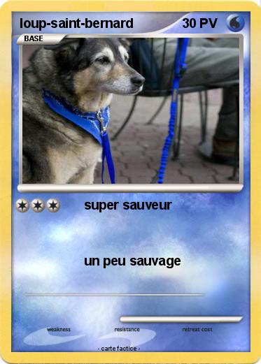 Pokemon loup-saint-bernard