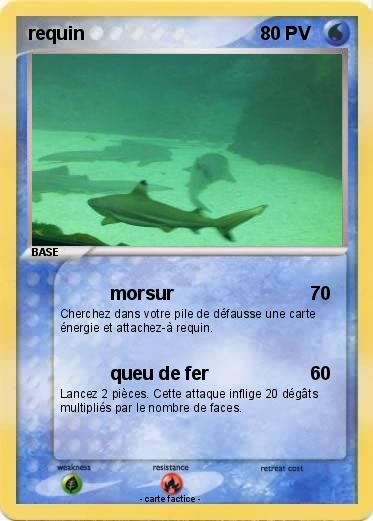 Pokemon requin