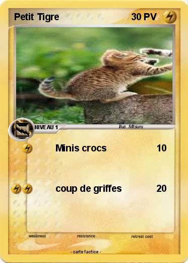 Pokemon Petit Tigre