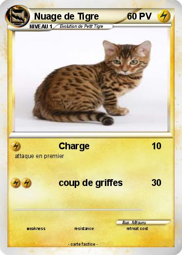 Pokemon Nuage de Tigre