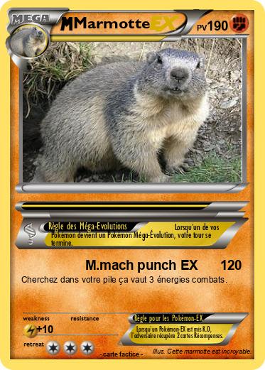 Pokemon Marmotte