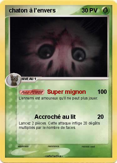 Pokemon chaton à l'envers