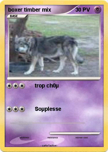 Pokemon boxer timber mix