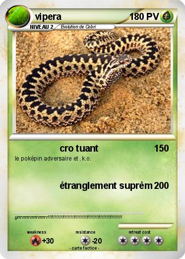 Pokemon vipera
