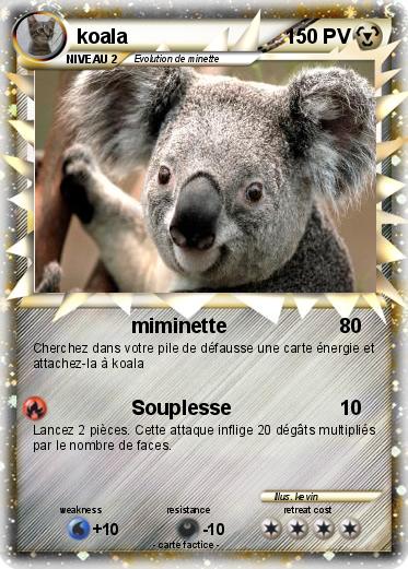Pokemon koala