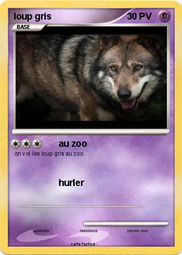 Pokemon loup gris