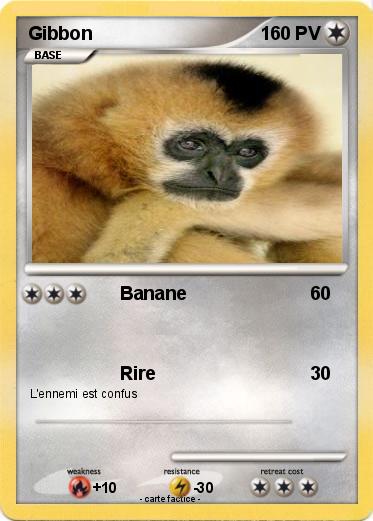 Pokemon Gibbon