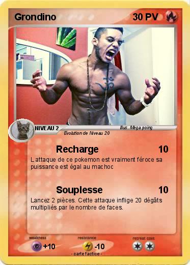 Pokemon Grondino
