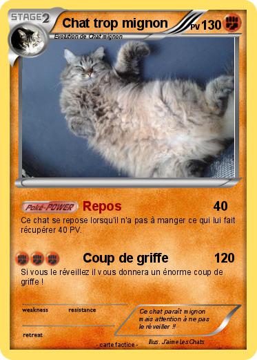 Pokemon Chat trop mignon