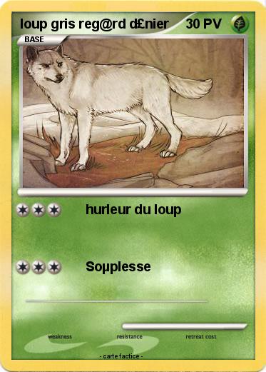 Pokemon loup gris reg@rd d£nier