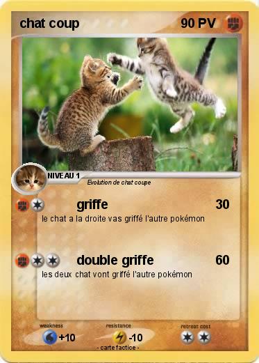 Pokemon chat coup