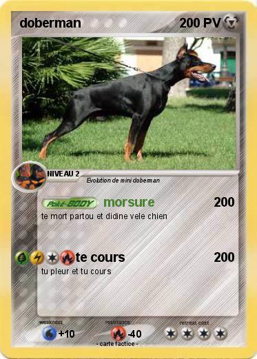 Pokemon doberman