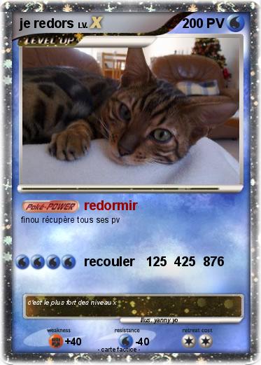 Pokemon je redors