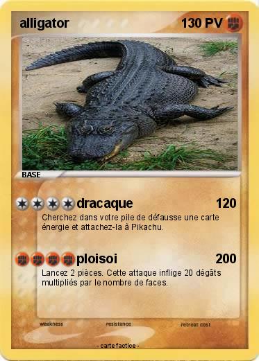 Pokemon alligator