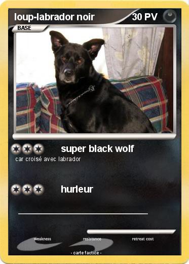 Pokemon loup-labrador noir